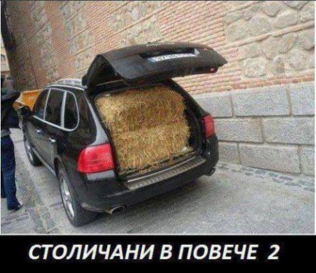 Столичани в повече