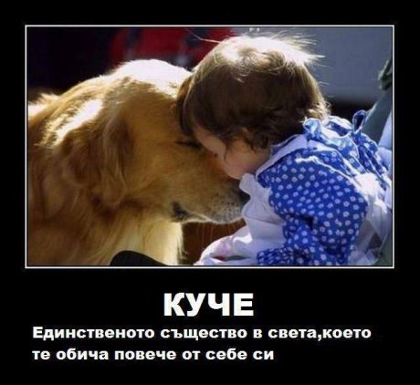 Животът е по-добър с куче