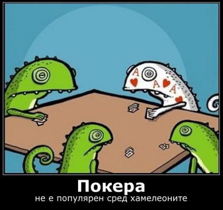 Покер