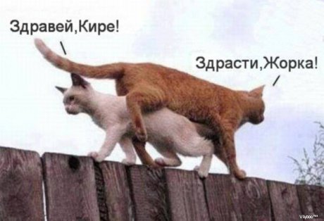 Случайна среща