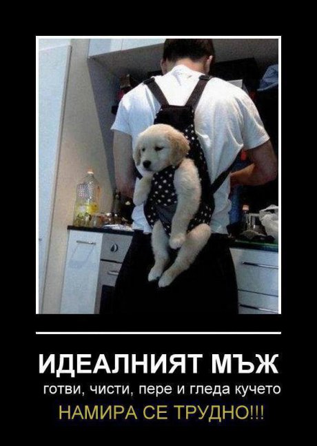 Идеалният мъж!