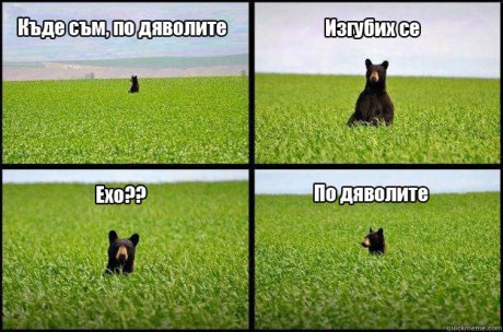Мечката се е изгубила