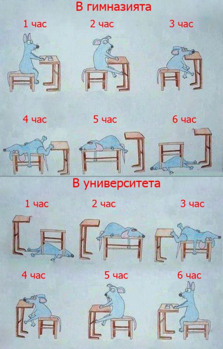 Часовете в училище и в университета