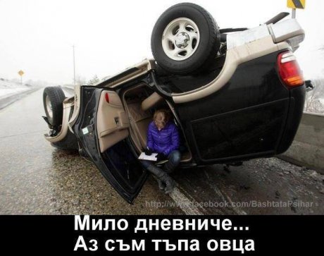 Добре се е подредила
