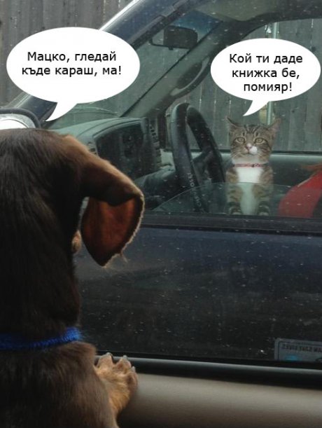 Гледай къде караш