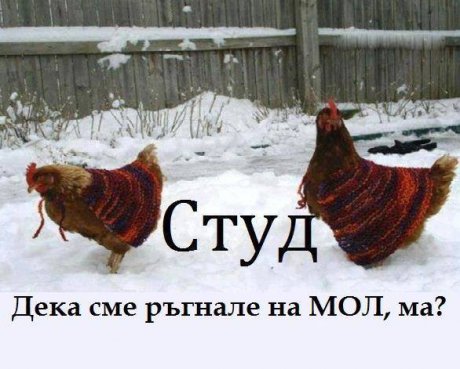 Какъв Мол ма!