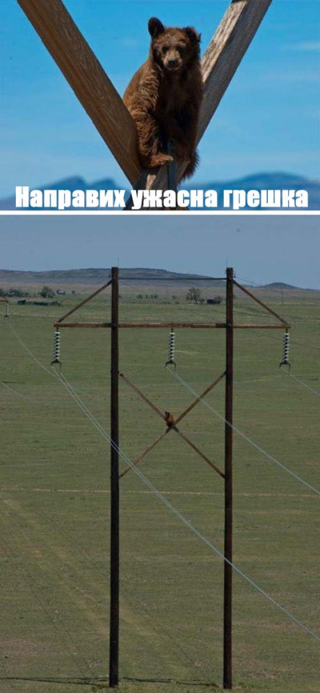 Направих ужасна грешка