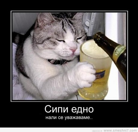 Сипи една