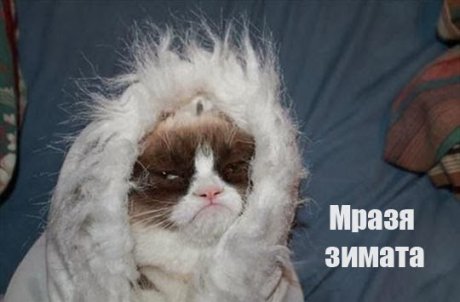 Мразя зимата