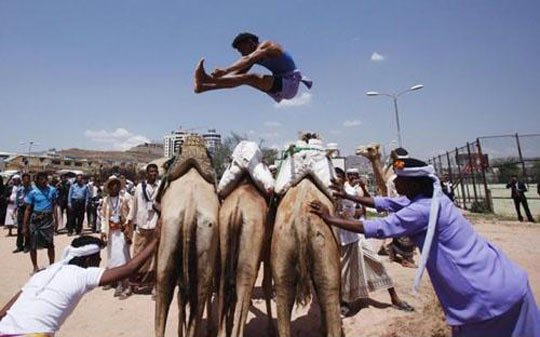 Прескочи камила
