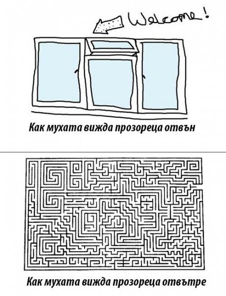 Как мухата вижда прозореца